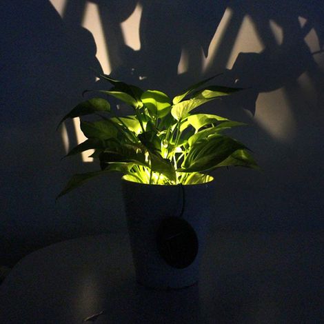 Lampe solaire LED pour jardin, pot de fleurs, lampe décorative étanche verte pour plantes, allée, intérieur et extérieur. (1/3)
