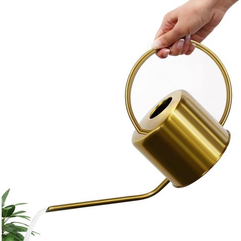 Watering Can for Indoor Plants, Long Spout Stainless Steel Vintage Watering Pot to Water Outdoor Garden House Plants Succulent Bonsai,1.3L / 40oz, Golden