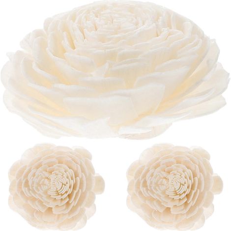 Lot de 3 plantes d'aromathérapie artificielles, fleurs séchées faites à la main, décoration pour la maison-20.00X4.50X4.50CM-White (1/4)