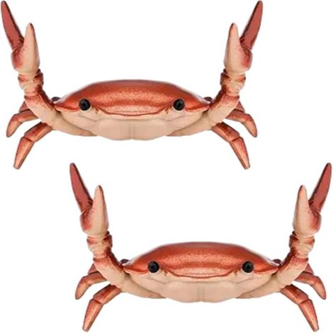 Irovami Porte-stylos crabe haltérophile lot 2 – Rouge, décoration bureau – Idéal pour rangement stylos, bureau (1/5)