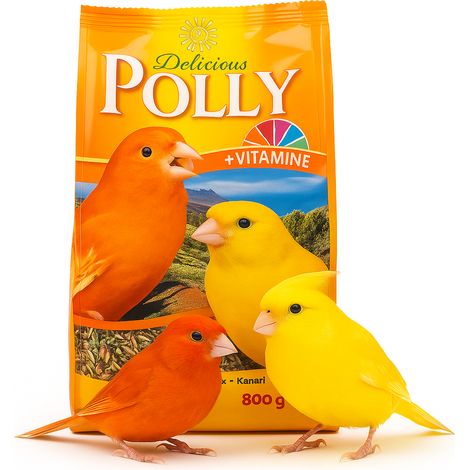 Vitakraft Polly Delicious - Nourriture pour canaris 800 g