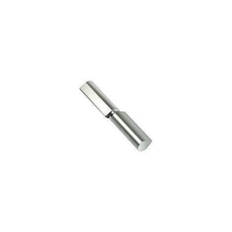 Paumelle Goutte Pivot 140mm Robustesse Et Fluidité Pour Portails Lourds - Tamron (1/2)
