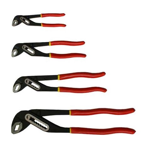 Pinza poligrif isolata