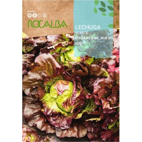 Rokalba Seed Lecuga Red Salad Bowl "H.roble" 100g