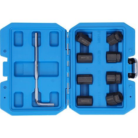 Jeu Extracteur de Goujons 9 Pièces - Filetages Protégés M10x1.5 M10x1.25 M8x1.25 M6x1.0 (1/5)