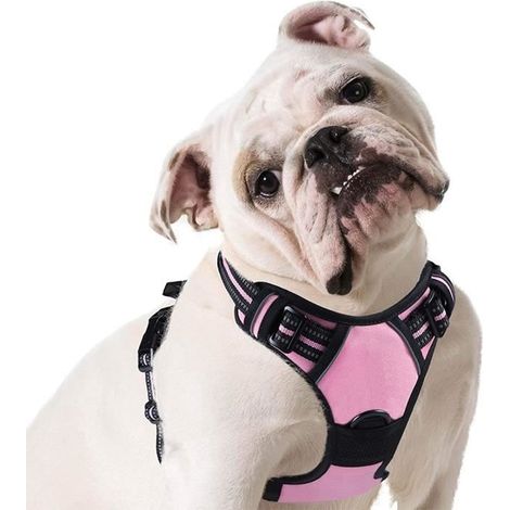 Harnais Anti Traction pour Chien - BIGILANTUH - S - Rose Rouge - Tour de poitrine 62-69 cm - Poignée de contrôle (1/4)