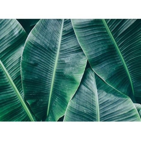 Papier peint panoramique original motif feuille Tapisserie panoramique nature pour chambre Papier peint panoramique tropical pour salon (1/4)