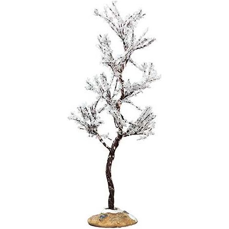 Morning Dew Tree, Small Cod. 74251