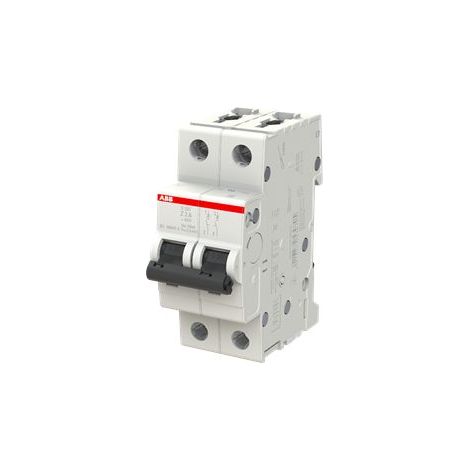 Disjoncteur ABB 2CDS252001R 2P, 2A, pouvoir de coupure 230 V ( Prix pour 1 )