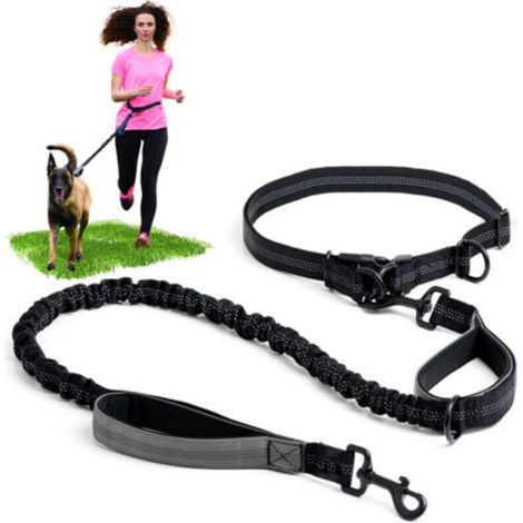 Laisse mains libres pour chien avec coutures réfléchissantes - Laisse de taille pour promenade, randonnée, entraînement, jogging, canicross, course à pied - pour races moyennes et grandes