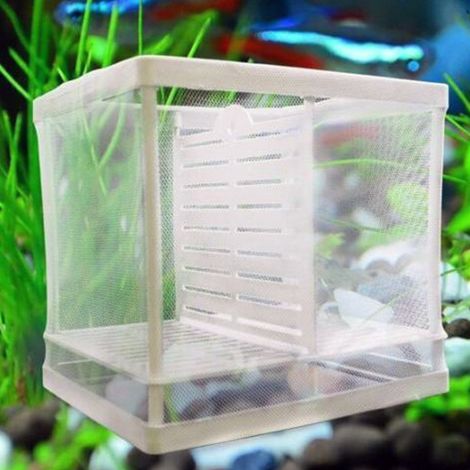 TrAdE Shop Traesio - Cassetta Per Acquario Allevamento Separa Pesci Proteggi Uova Incubatrice Piccola -