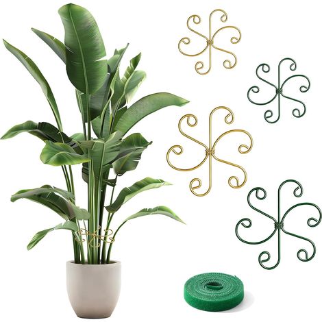 Set di 4 supporti in metallo per piante Monstera (2 misure), supporti per piante con cinghia da 2 m per piante da interno, fiori, pomodori e rose (1/5)