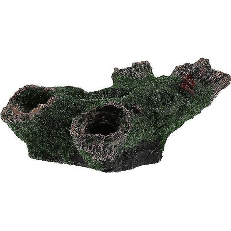 1 cachette à poissons dans un trou d'arbre (1/3)