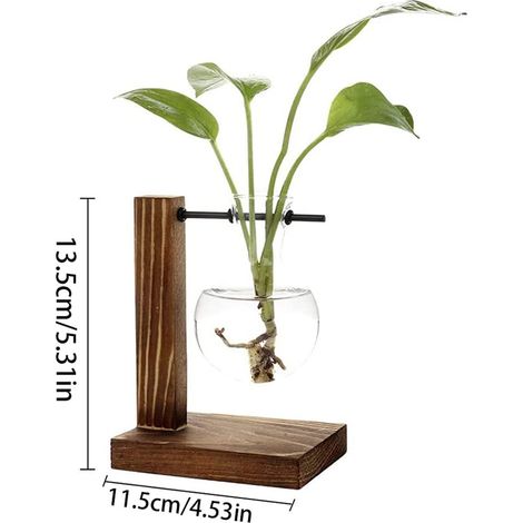 Vase en Verre Transparent avec Support en Bois pour Table, Bureau, Décoration Intérieure, Plante, Maison (1/3)