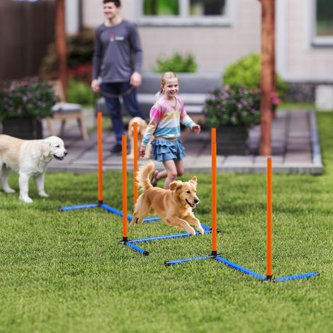 Set d'agilité pour chiens, équipement d'agilité 3 pièces avec poteaux de slalom, sac de transport, set d'entraînement pour toutes les tailles de chiens, orange (1/5)