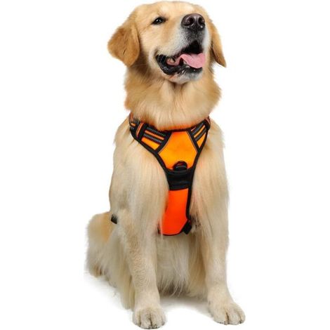 Harnais Chien L Arnais Orange Anti Traction Réfléchissant Gilet Réglable pour Chien Grand Taille, Attache Devant Crochet de Laisse pour Randonné Trajet Voiture, American Staff, Border Collie-Ensoleill