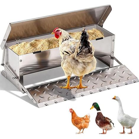 Automatic Chicken Feeder with Rainproof Lid – 11 lbs Capacity, Outdoor Chicken Seed Dispenser for Pheasants, Turkeys, Ducks, Geese and Other Poultry (1/5)