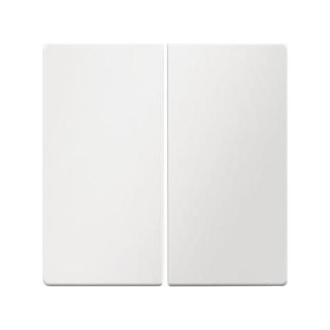 Berker Q.1 Doppelschlüssel für Schlüsselschalter, schneeweißer Samt, 16236089 (1/5)