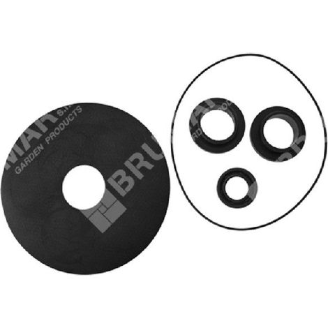 Dichtungssatz für ROVER POMPE COMPATIBLE Elektropumpen - 013112