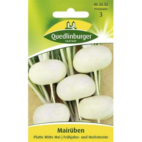 Mairübe, Platte witte (Flache weiße) (1/2)