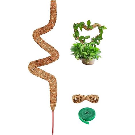 Foldable Coconut Brown Climbing Rattan Pole, Suitable for Climbing Plants, Set with Jute Twine with Green Magic Ties (1/5)