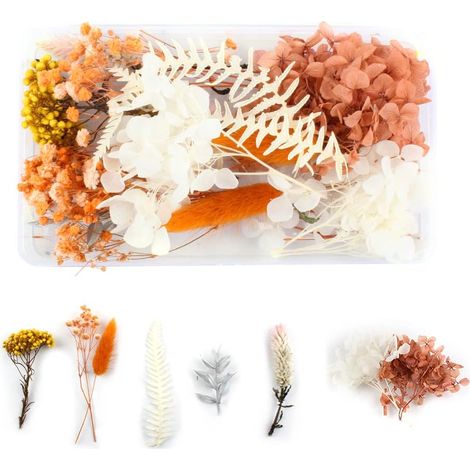 Fleurs Séchées Fleur Bouquet Fleurs Sechees Naturel Fleurs Seches Decoratif Bouquet Fleurs séchées naturelles séchées en relief DIY Fleurs préservées Décoration florale (1/5)