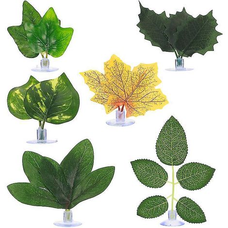 6 feuilles d'aquarium (1/3)