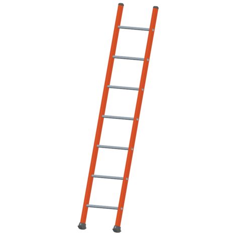 Escalera simple - TUBESCA - 2m41 - 03610108