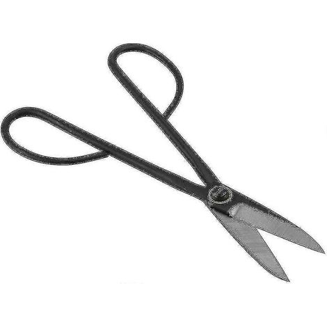 Ciseaux de taille en acier, coupe-branches durable, outil de jardinage à main (1/5)
