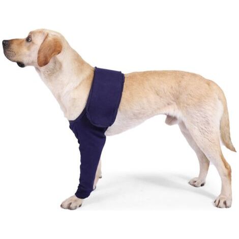 BUNTHAUS Manchon de Protection Anti-Léchage pour Chiens, Manchons de Récupération Chirurgicale pour Chien, pour Blessure à la Jambe Antérieure des Animaux Domestiques(Bleu, L) (1/5)