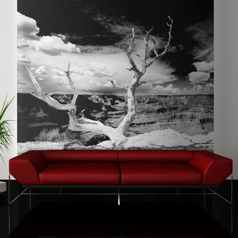 Papier Peint "Arbre au Grand Canyon, Arizona" 154 x 200 cm (1/2)