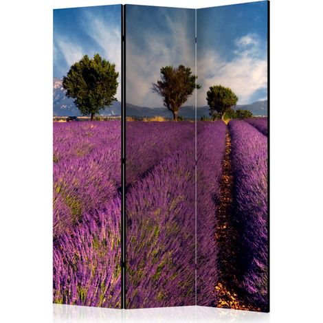 Paravent 3 Volets "Lavender Field in Provence, France" 135x172cm (1/2)