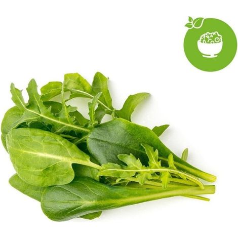 MEZCLA DE ENSALADA VERDE CLICK & GROW 9 TODDINGS CLICK AND GROW