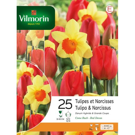 Vilmorin Tulipes et Narcisses (x25) (1/2)