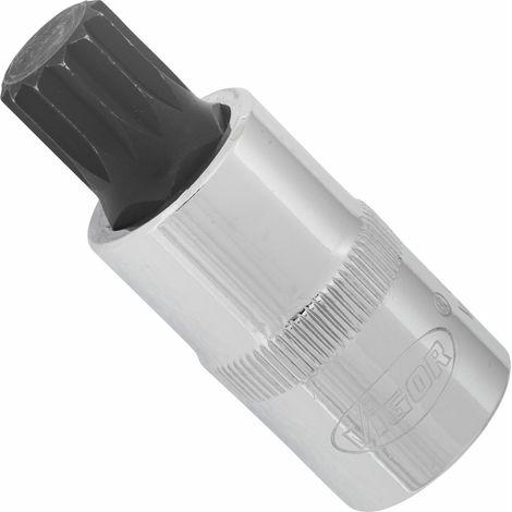 VIGOR Schraubendrehereinsatz, V2065, 1/2 (12,5 mm) Vierkant hohl, Innen Vielzahn Profil XZN, SW M14 (1/4)