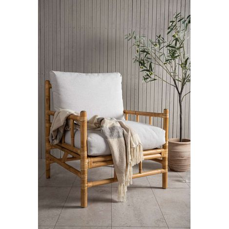 Cane Fauteuil (1/4)