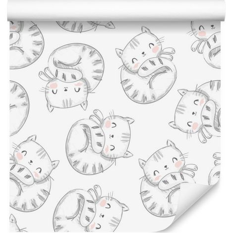 Papier peint chatons endormis pour salon et chambre 50x1000 cm (1/5)