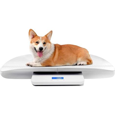 Pet Scales, Baby Scales, Multifunctional Electronic Personal Scales Suitable for Adults and Small Animals Such as Babies, Kittens and Puppies, Stable (White) (1/5)