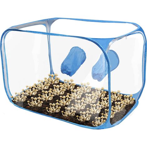 Chambre à air immobile pliable – boîte de culture de champignons, 35,5 x 23,5 x 23,5 pouces (1/5)