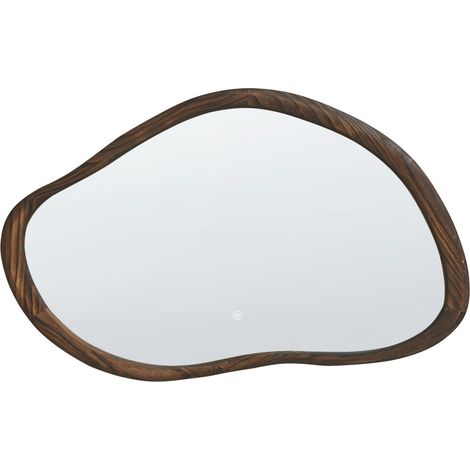 Miroir Mural Moderne à LED Chambre Salle de Bains 60 x 93 cm Argenté et Marron Foncé Mancey (1/5)