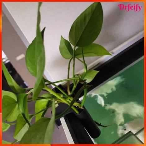 Support de plante pour aquarium - - Porte-plante suspendu - 5 trous drainage - Plastique ABS - Pour bords 2 cm (1/5)