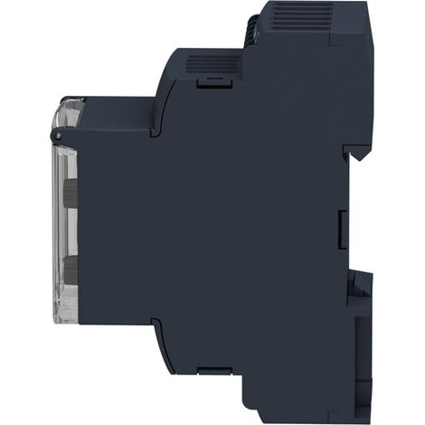 Schneider Electric NIVEAUREL.2W 5-100KOHM 24-240V (RM35LM33MW)