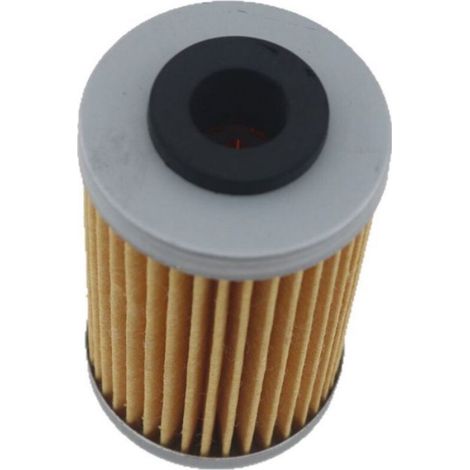 Élément de filtre à huile JG571014 compatible avec les modèles BAJAJ Pulsar NS200 et RS200 (1/5)