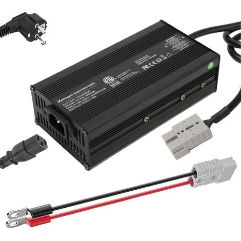 Chargeur LiFePO4 14,6V 10A Spécial pour au Lithium Fer Phosphate 12V Chargeur de Batterie Intelligent pour LFP Batterie 12,8V avec 7 Fonctions de Protection, Charge Rapide (1/5)