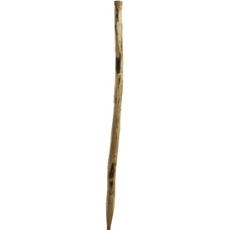 Poteau noisetier pour clôture ganivelle H 1m20 (1/3)