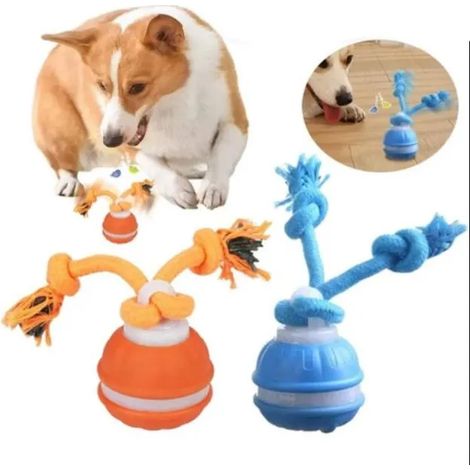 Lot de 2 balles interactives roulantes pour chiens, bleu + jaune, UISAVE (1/5)