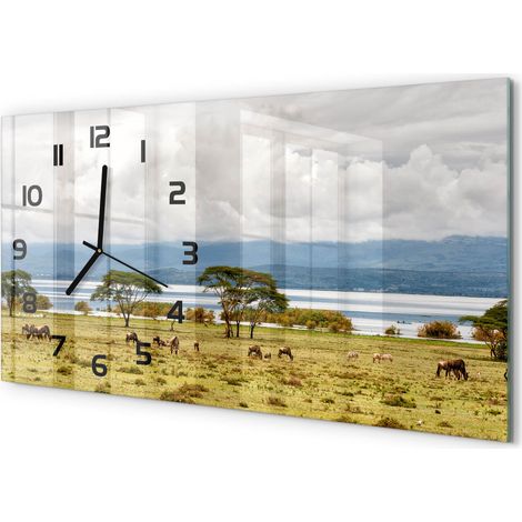 Horloge Murale Panoramique en Verre 60x30 cm Décorative Moderne Salon Cuisine Lac Naivasha (1/5)