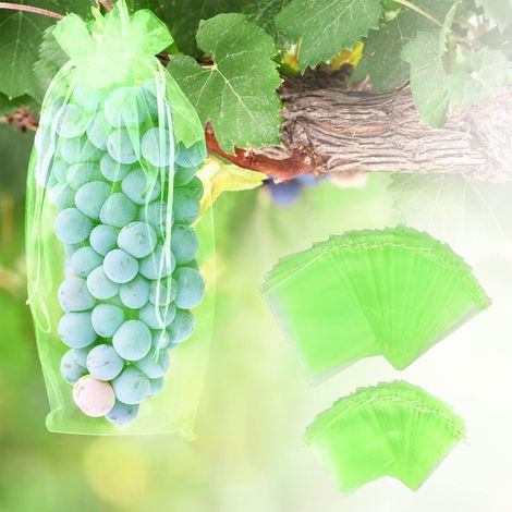 Bolsas protectoras para uvas, 60 unidades, 20 x 30 cm y 17 x 23 cm, bolsas de protección para plantas, bolsas de organza con cordón para frutas (verde).