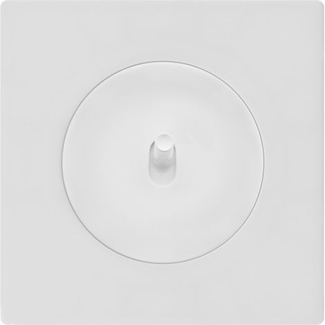 FONTINI Commande volet roulant blanc avec manette blanc glossy DOM et plaque simple blanc – Gestion fluide et design épuré (1/5)