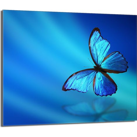Glasschutzplatte für den Herd 60x52 Butterfly (1/5)